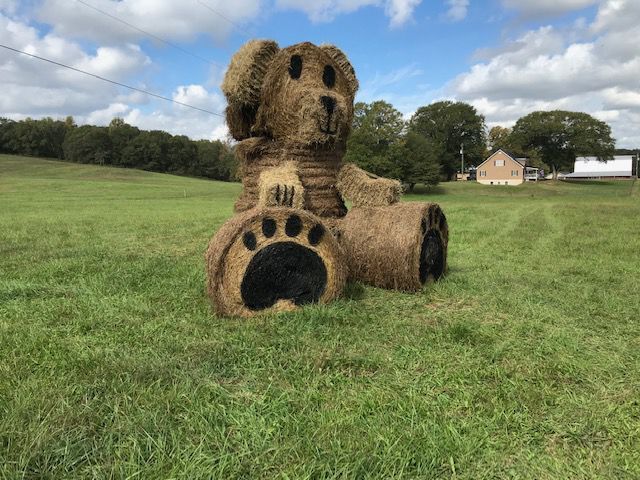 Unique hay decoration